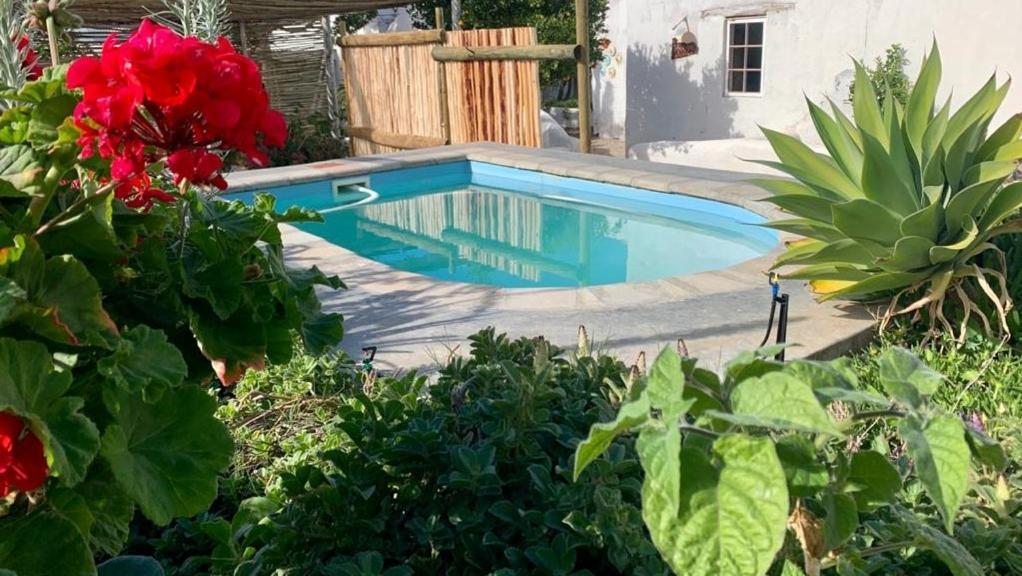 Ta Mala'S Cottage 프린스앨버트 외부 사진