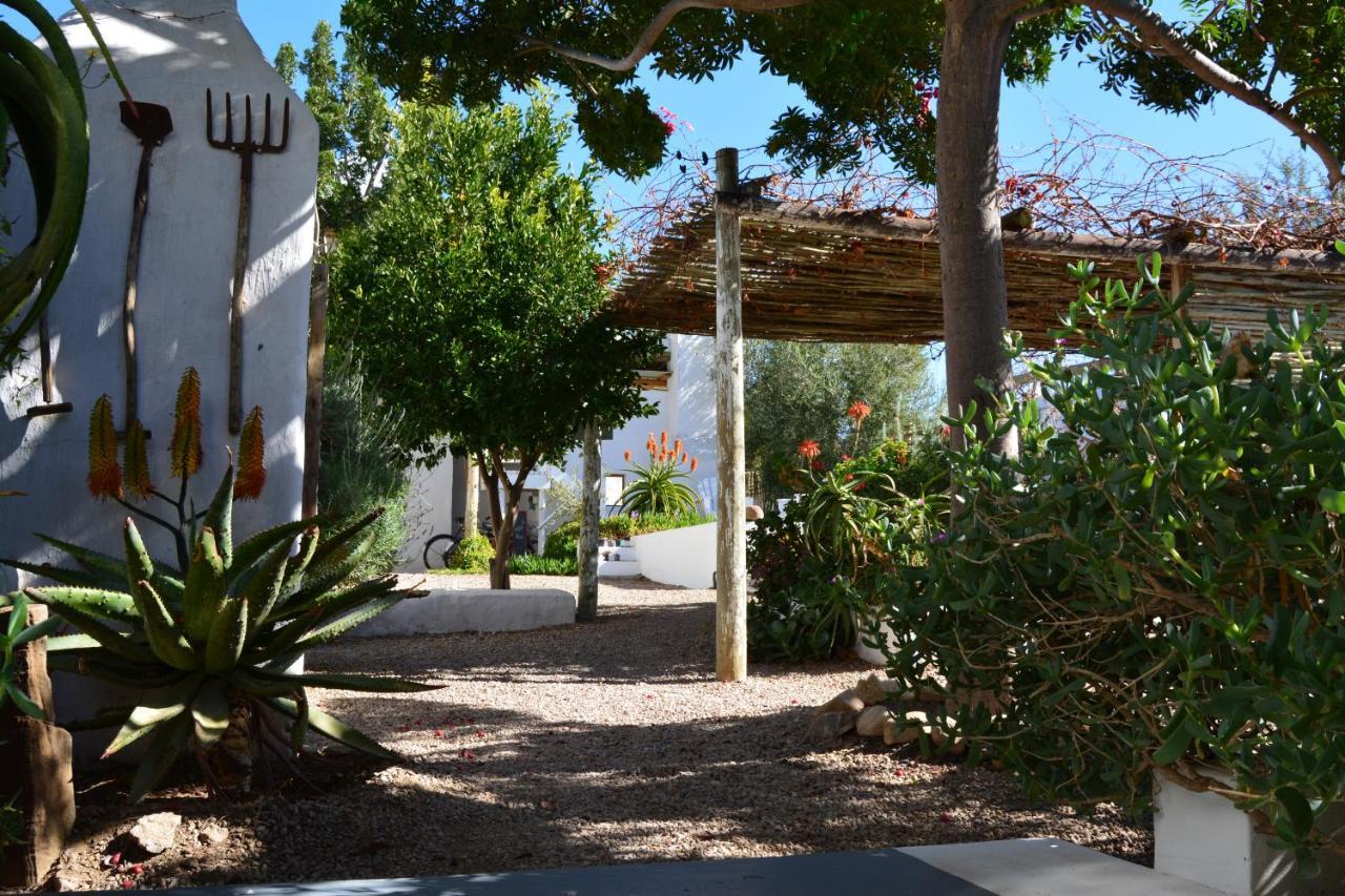 Ta Mala'S Cottage 프린스앨버트 외부 사진